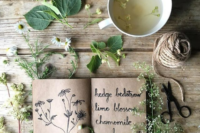 Naturstübli Kräuterwanderung mit Herz Wald Ruhe Informationen altes Wissen Erholung neugierde Heilpflanzen Pflanzen verarbeiten Nutzen Tinkturen herstellen Natur Kraft der Natur Altes Wissen Naturapotheke Heilpraktiker Pflanzenkraft Pflanzenwelt Wirkungen Heilwirkungen