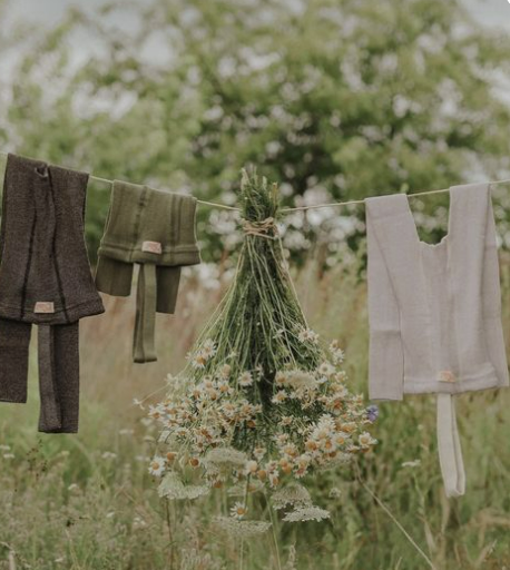 Naturstübli Kräuterwanderung mit Herz Wald Ruhe Informationen altes Wissen Erholung neugierde Heilpflanzen Pflanzen verarbeiten Nutzen Tinkturen herstellen Natur Kraft der Natur Altes Wissen Naturapotheke Heilpraktiker Pflanzenkraft Pflanzenwelt Wirkungen Heilwirkungen